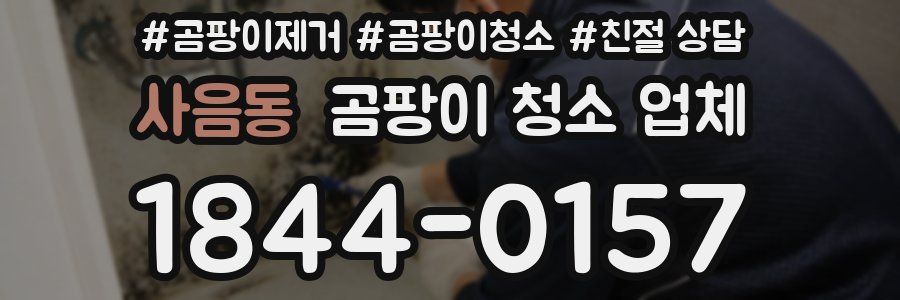 사음동 곰팡이 청소 업체