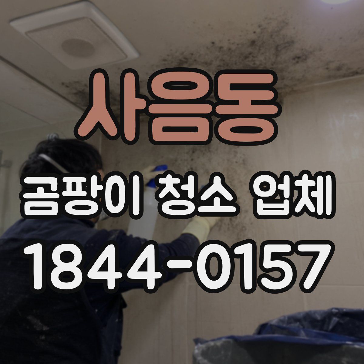 사음동 곰팡이 청소 업체