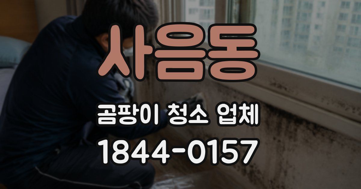 사음동 곰팡이 청소 업체