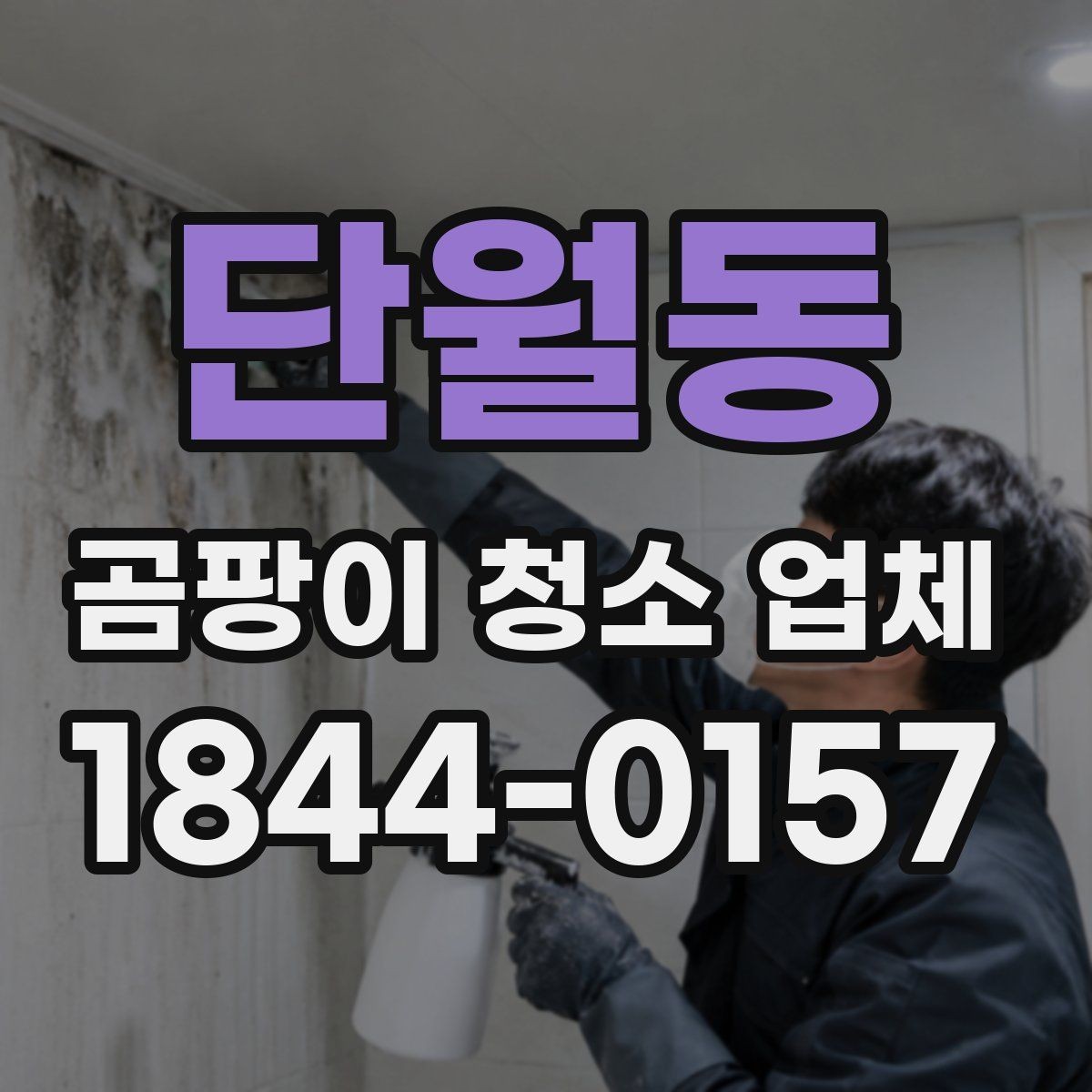 단월동 곰팡이 청소 업체 선택 기준을 쉽게 정리