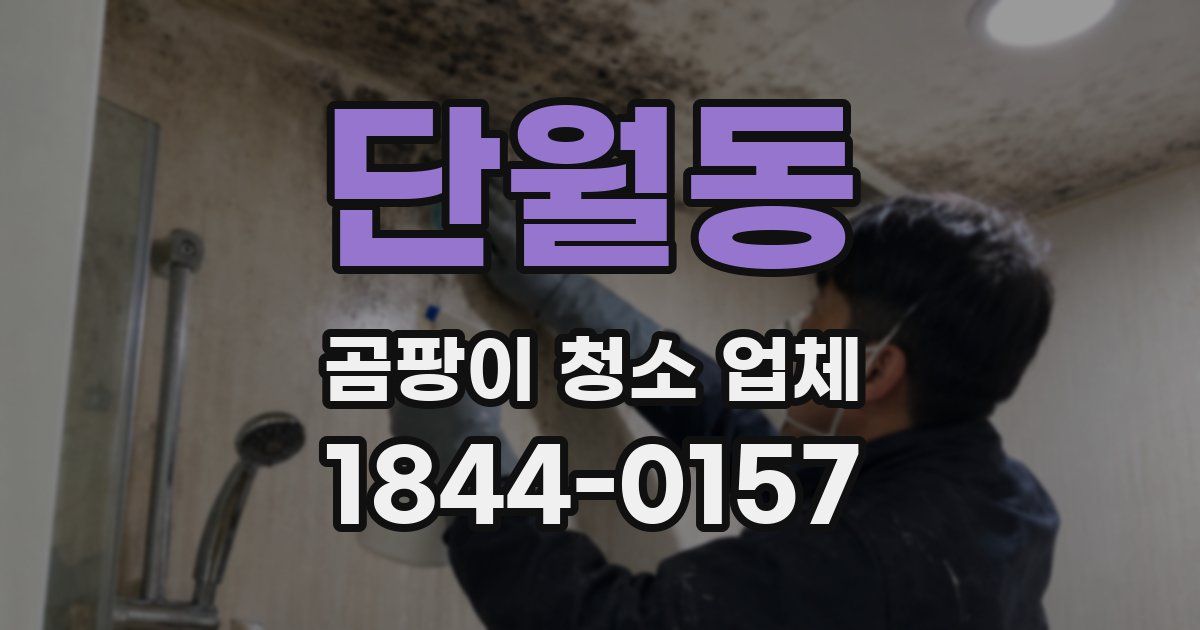 단월동 곰팡이 청소 업체
