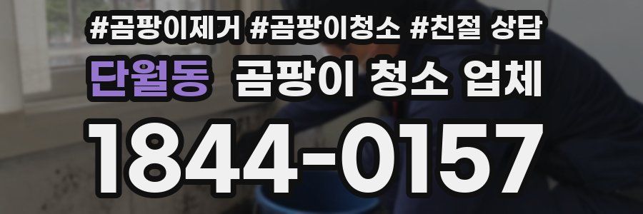 단월동 곰팡이 청소 업체