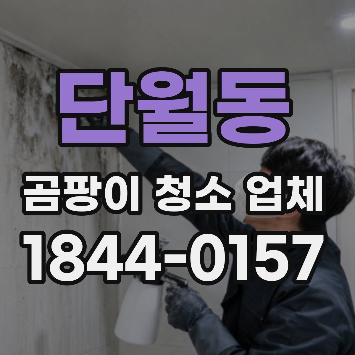 단월동 곰팡이 청소 업체