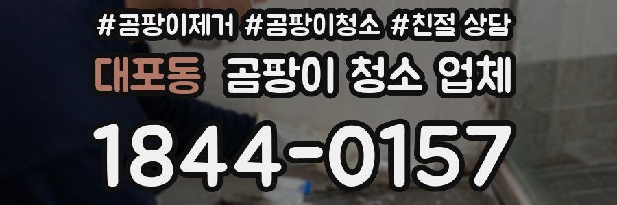 대포동 곰팡이 청소 업체