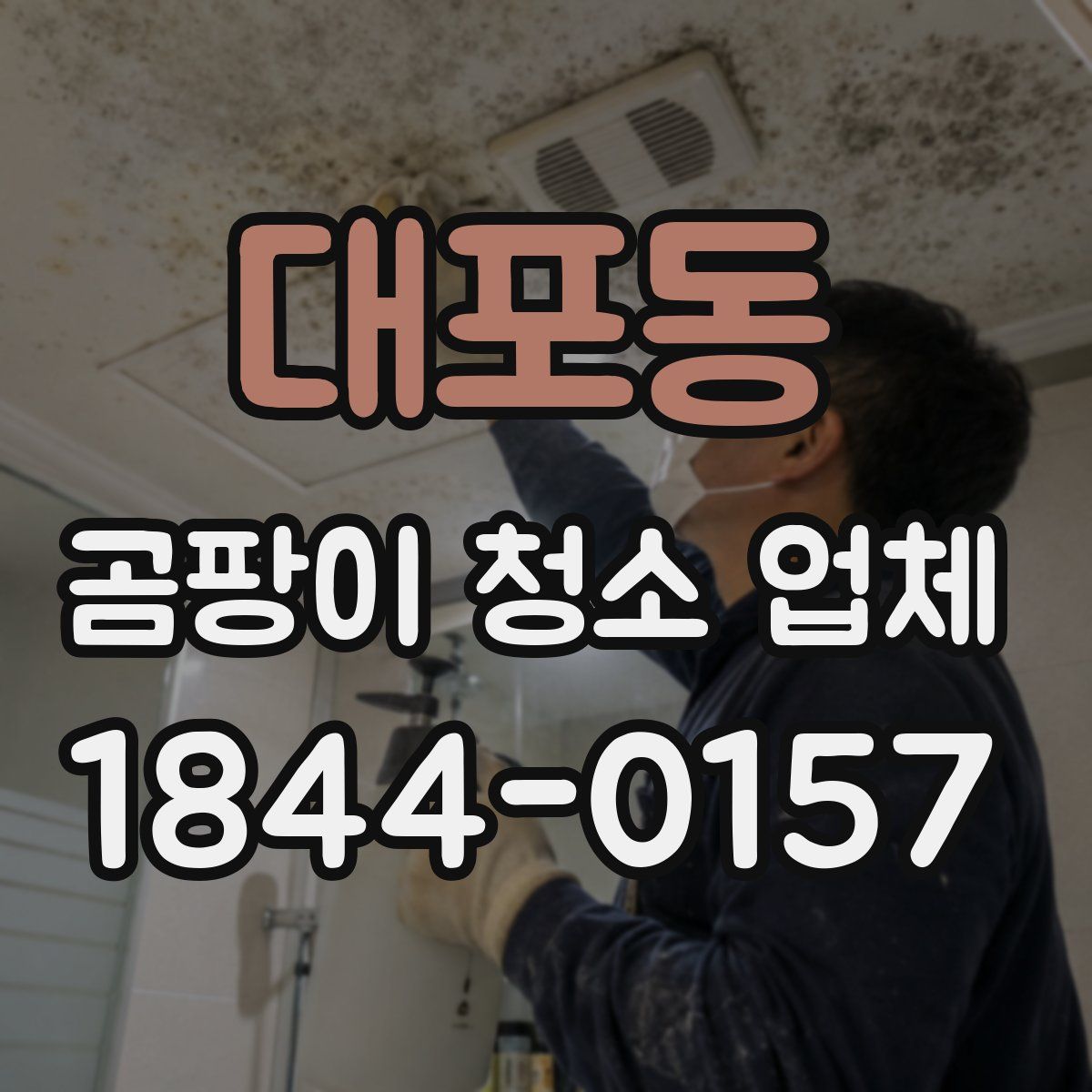 대포동 곰팡이 청소 업체