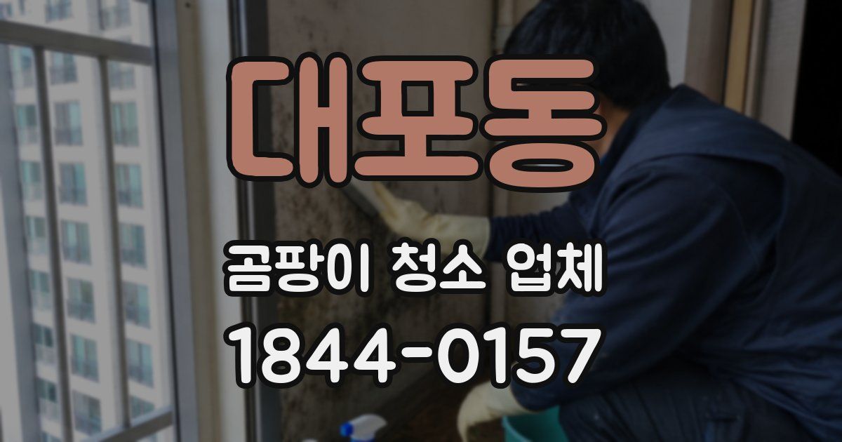 대포동 곰팡이 청소 업체