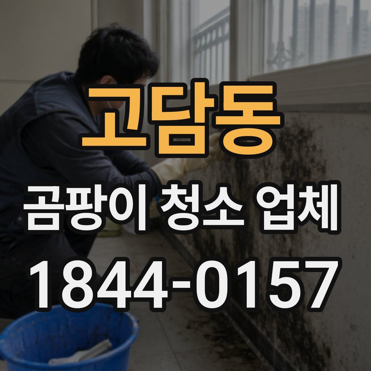 고담동 곰팡이 청소 업체