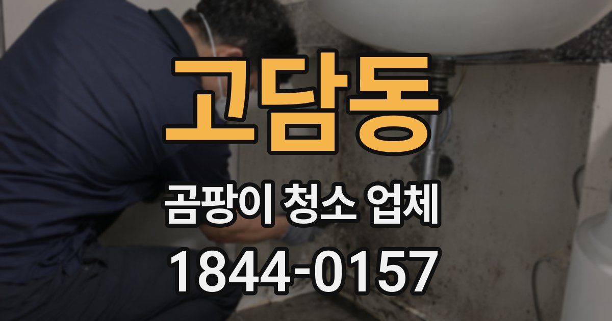 고담동 곰팡이 청소 업체
