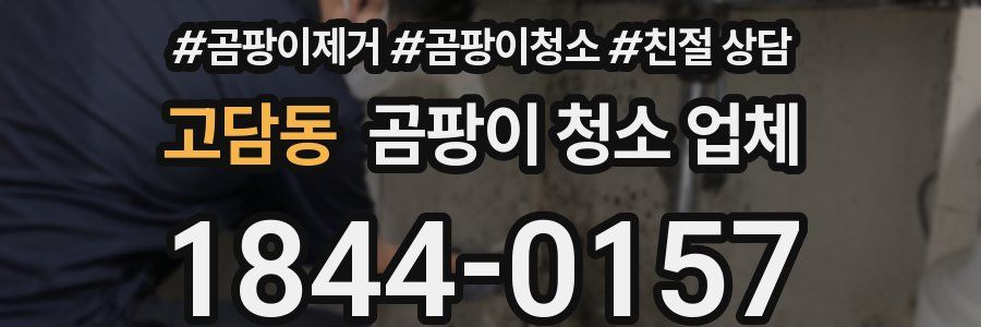 고담동 곰팡이 청소 업체
