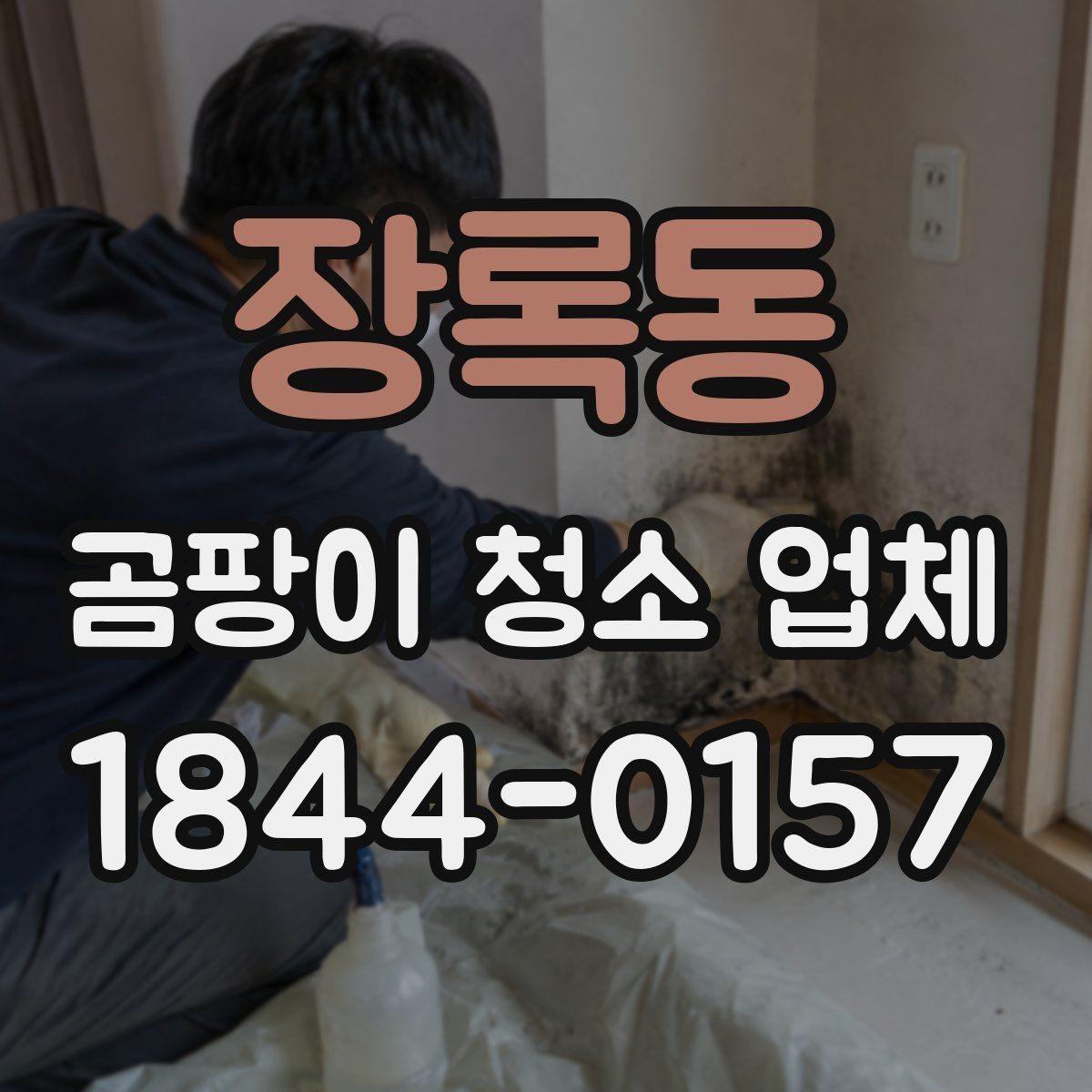 장록동 곰팡이 청소 업체 선택 시 후기와 현장 사진 보는 법