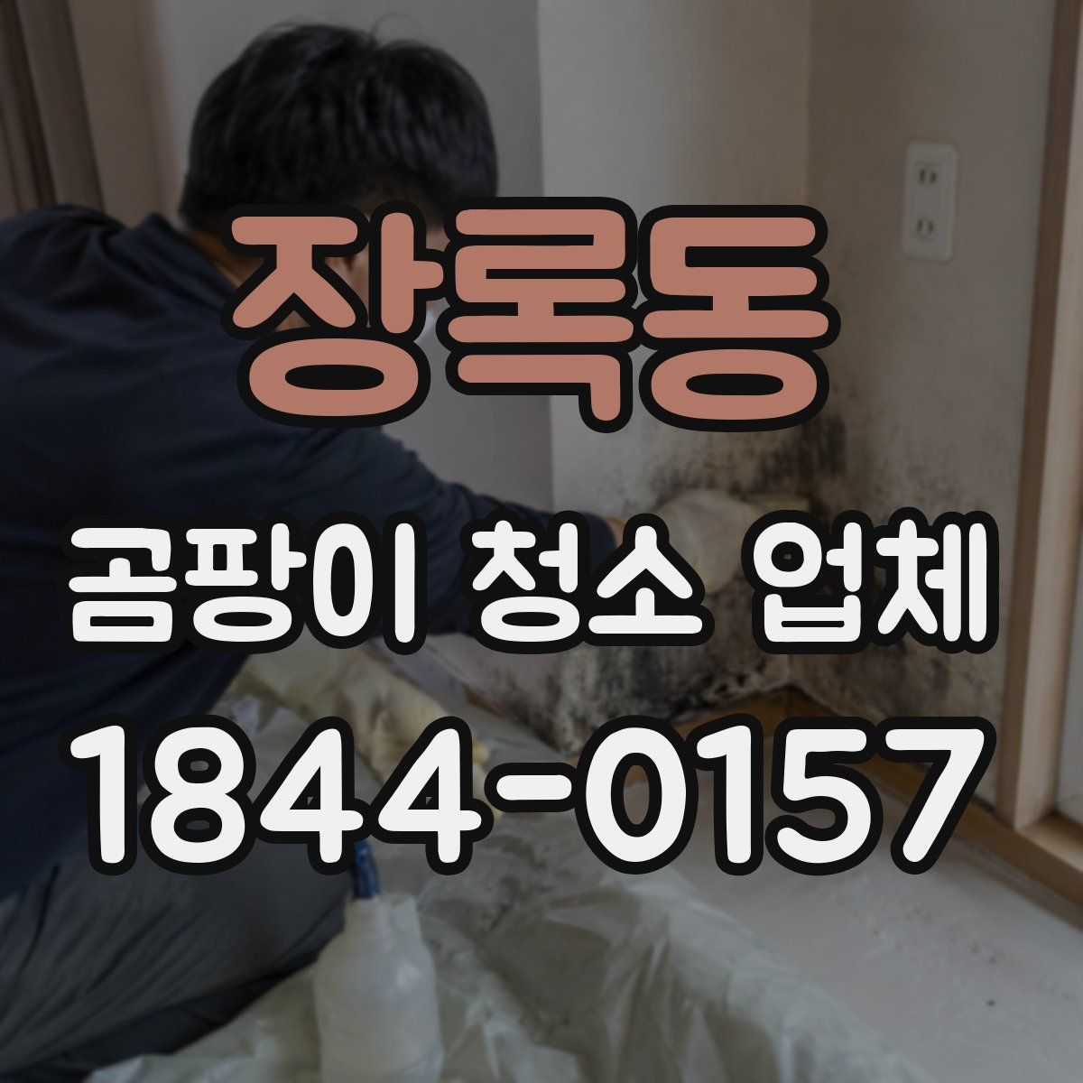 장록동 곰팡이 청소 업체