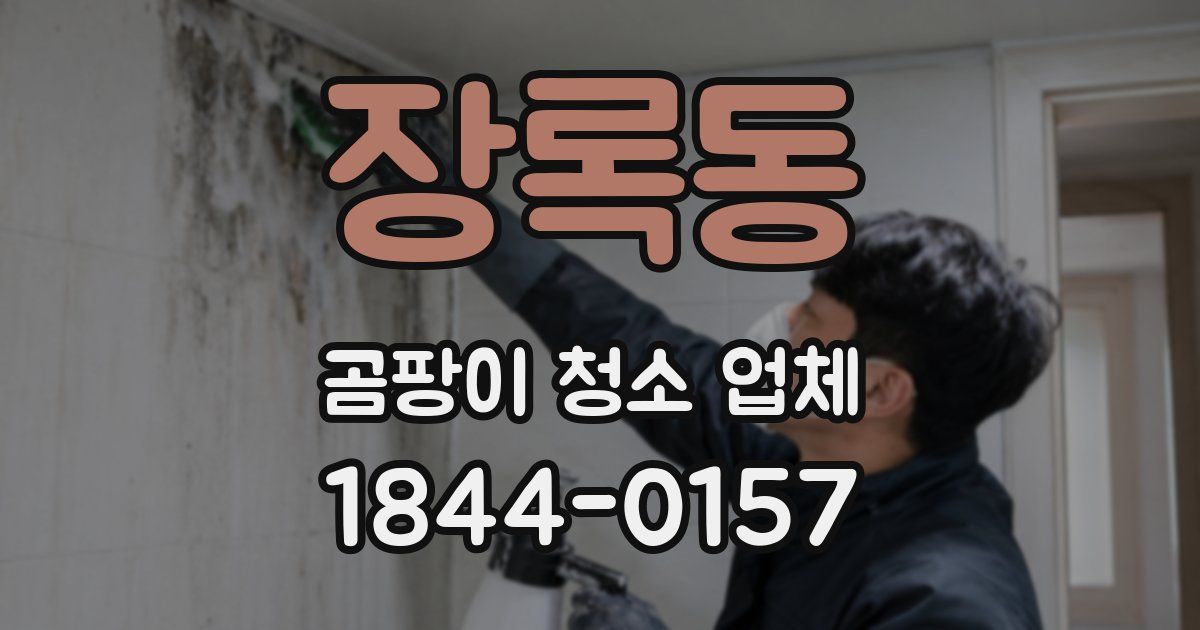 장록동 곰팡이 청소 업체