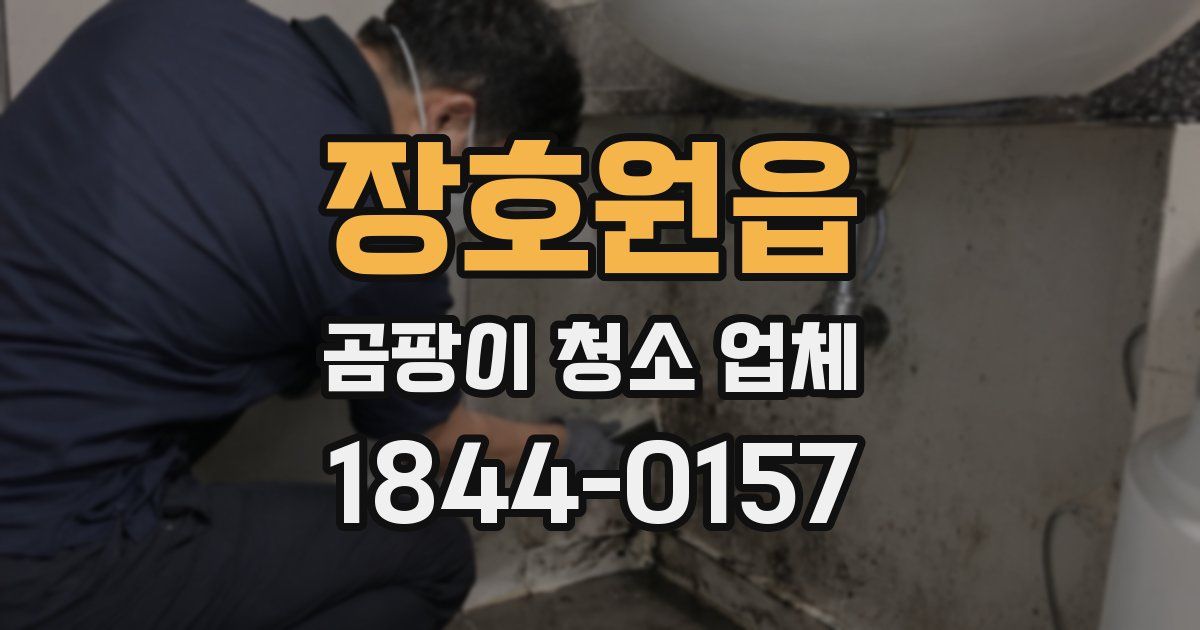 장호원읍 곰팡이 청소 업체