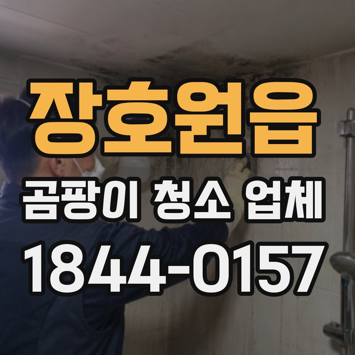 장호원읍 곰팡이 청소 업체