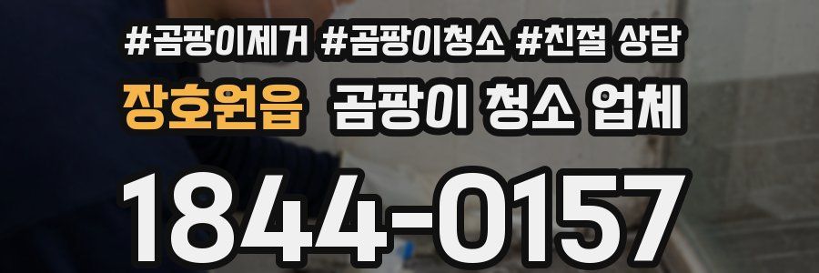 장호원읍 곰팡이 청소 업체