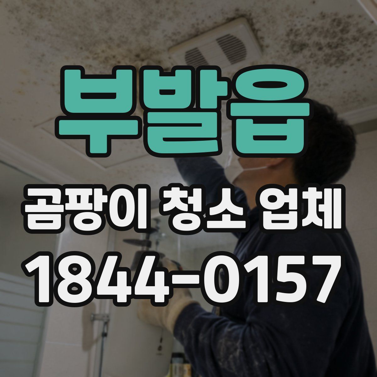 부발읍 곰팡이 청소 업체