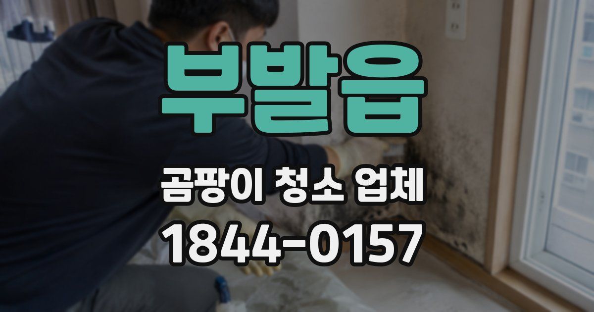 부발읍 곰팡이 청소 업체