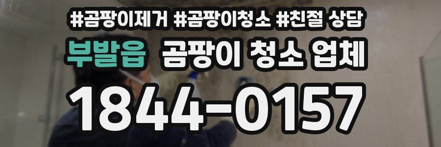 부발읍 곰팡이 청소 업체