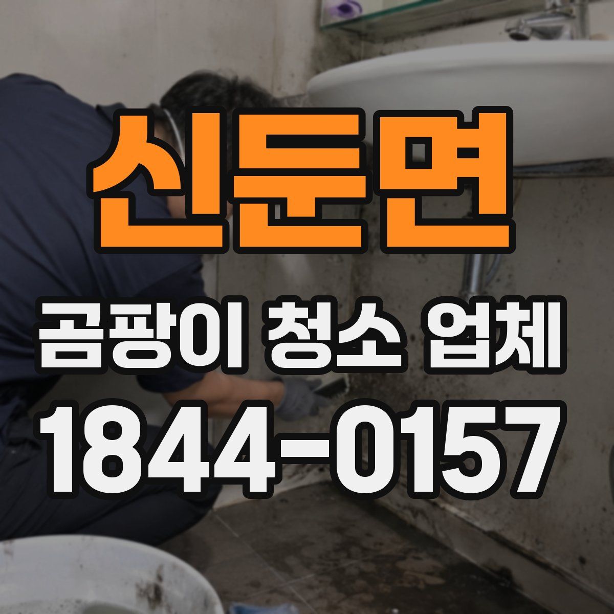 신둔면 곰팡이 청소 업체