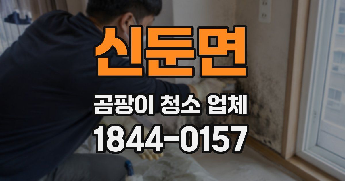신둔면 곰팡이 청소 업체