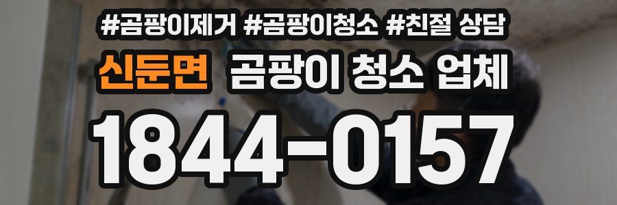 신둔면 곰팡이 청소 업체