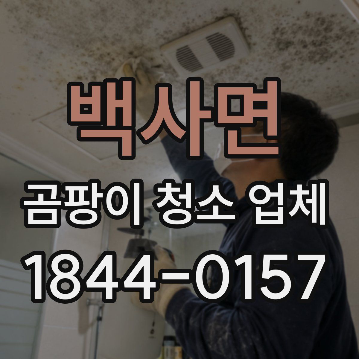 백사면 곰팡이 청소 업체