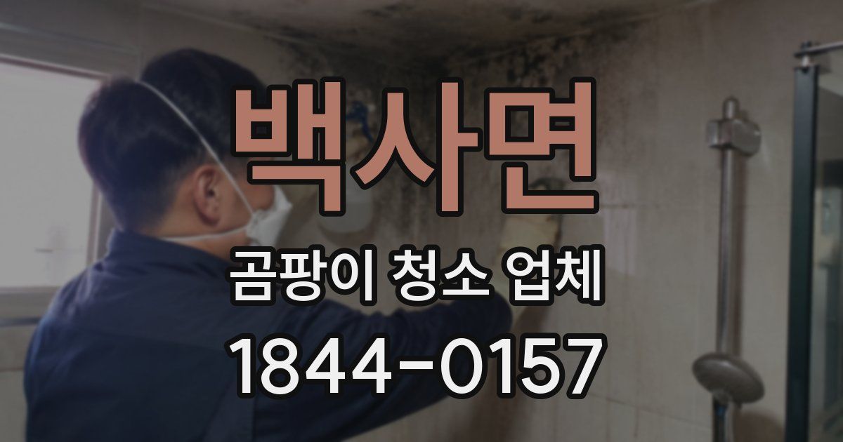 백사면 곰팡이 청소 업체