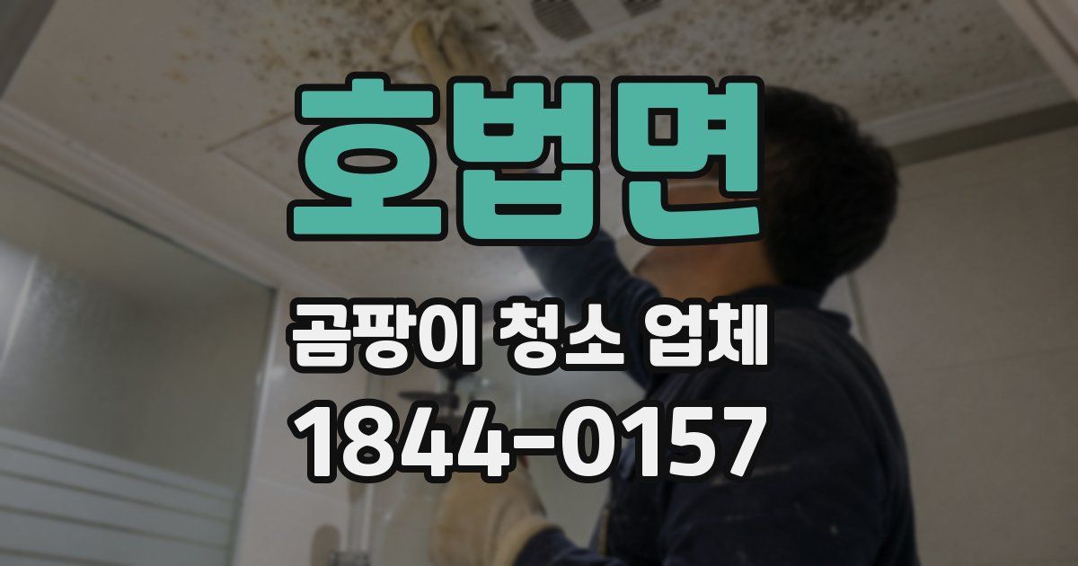 호법면 곰팡이 청소 업체