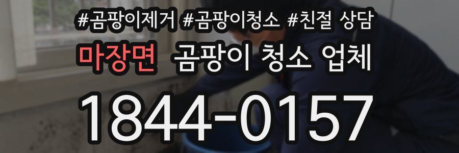 마장면 곰팡이 청소 업체