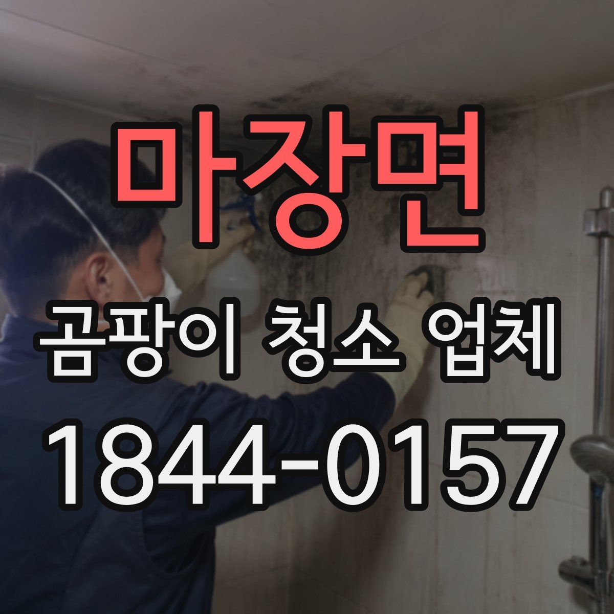 마장면 곰팡이 청소 업체