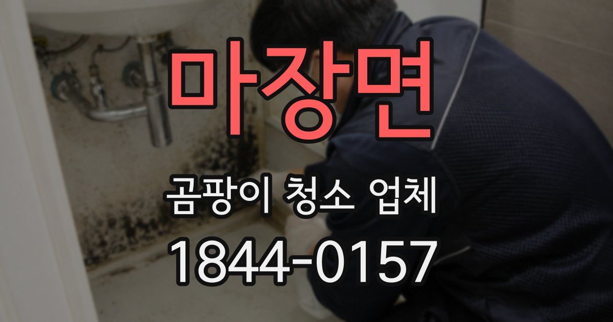 마장면 곰팡이 청소 업체