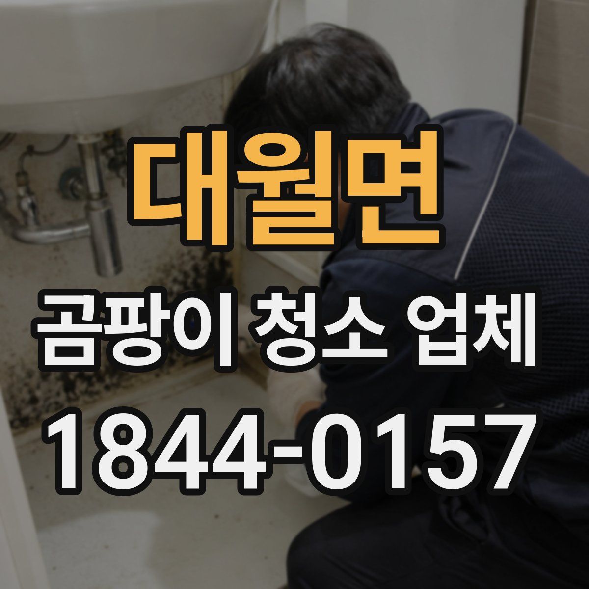 대월면 곰팡이 청소 업체