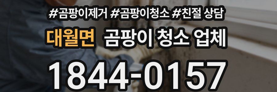대월면 곰팡이 청소 업체