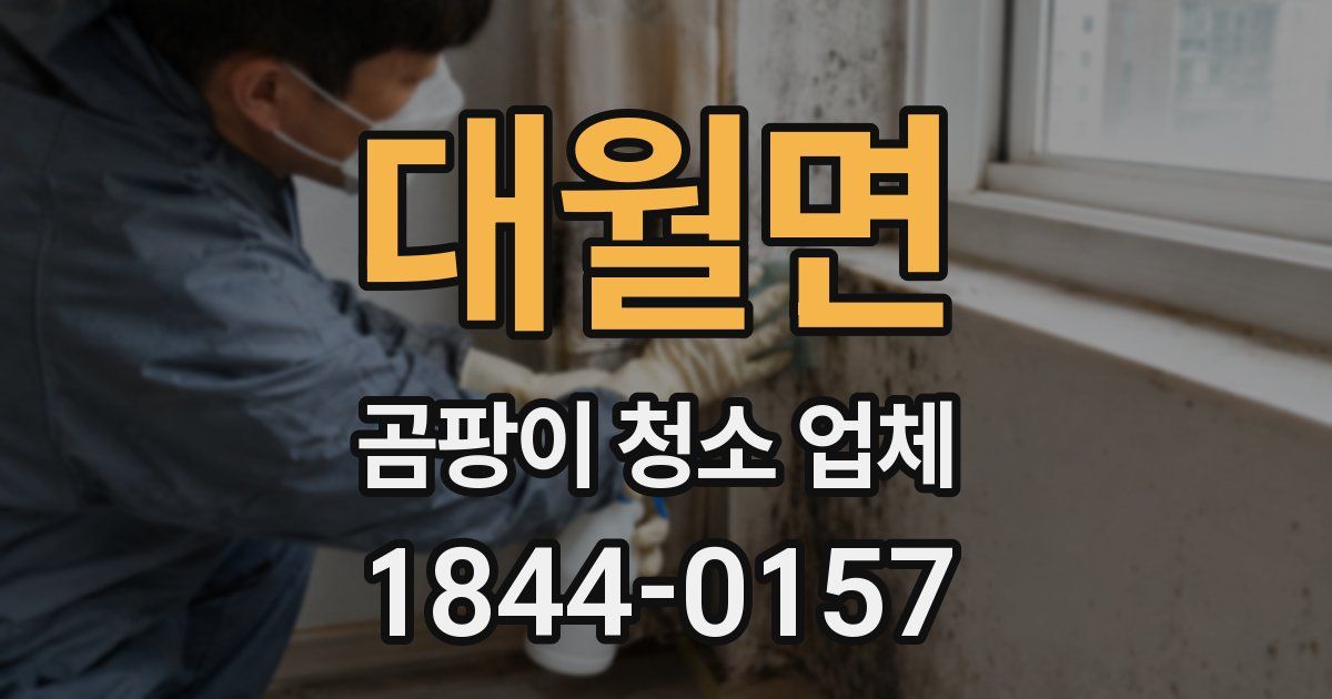 대월면 곰팡이 청소 업체