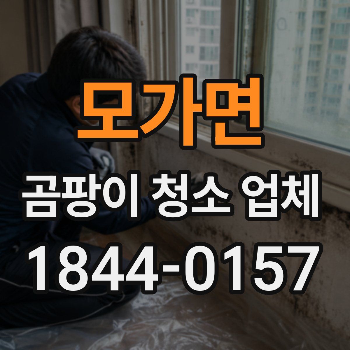 모가면 곰팡이 청소 업체