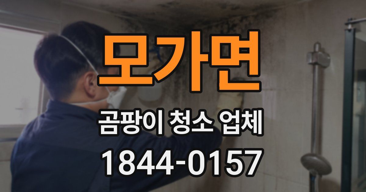 모가면 곰팡이 청소 업체