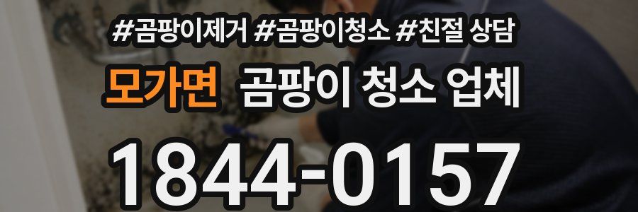 모가면 곰팡이 청소 업체