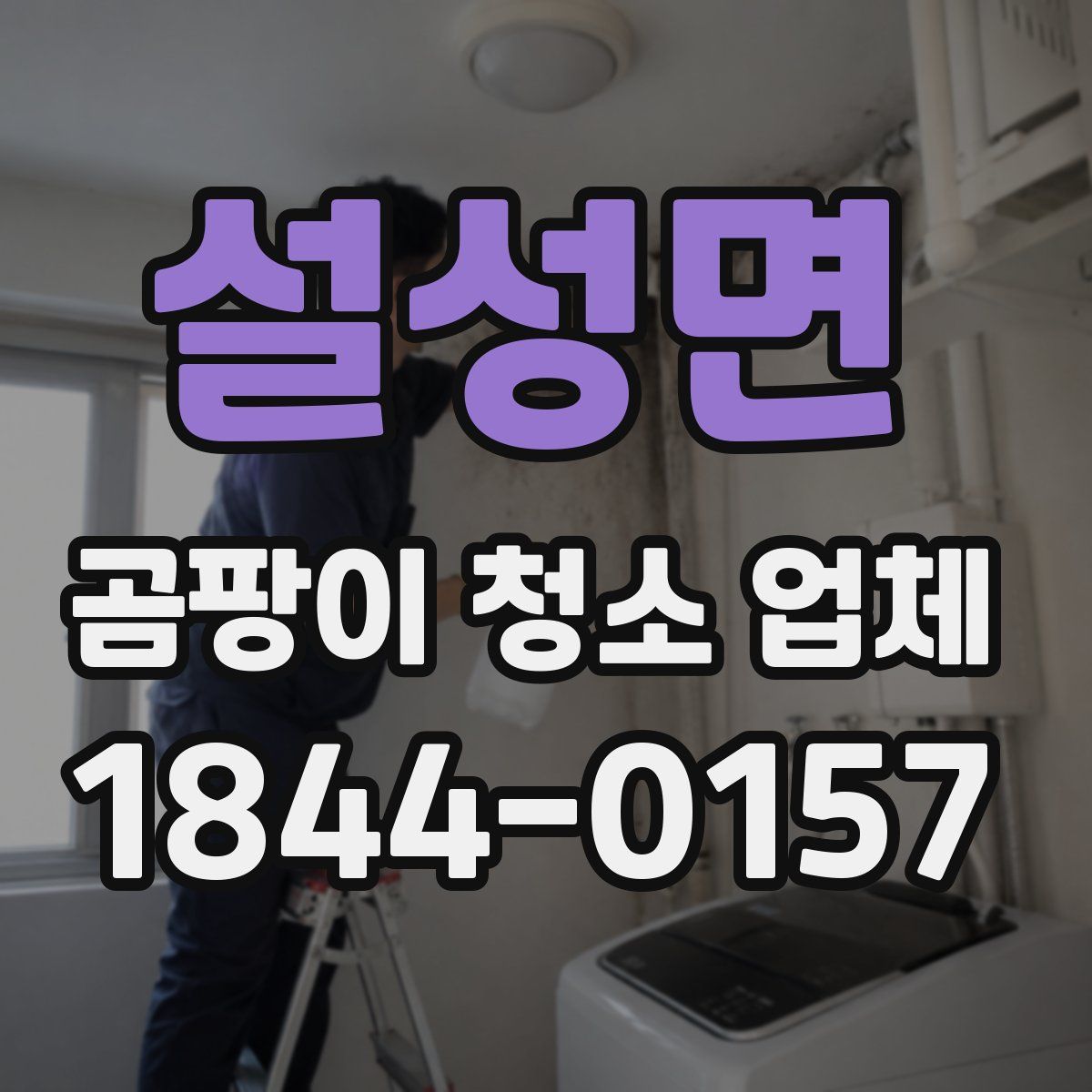 설성면 곰팡이 청소 업체