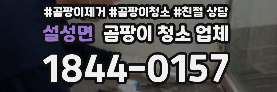 설성면 곰팡이 청소 업체