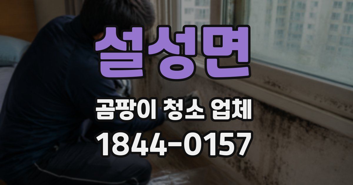 설성면 곰팡이 청소 업체