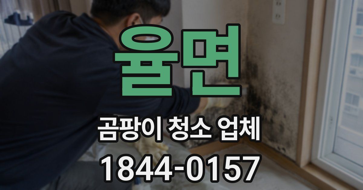 율면 곰팡이 청소 업체