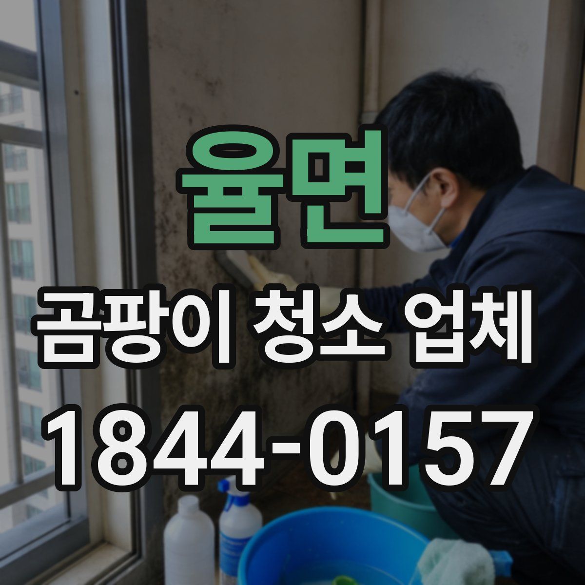 율면 곰팡이 청소 업체