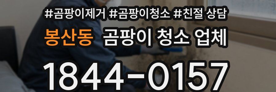 봉산동 곰팡이 청소 업체