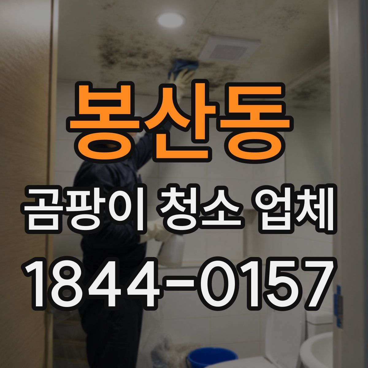 봉산동 곰팡이 청소 업체