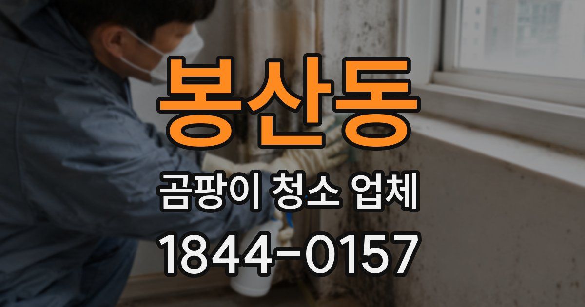 봉산동 곰팡이 청소 업체