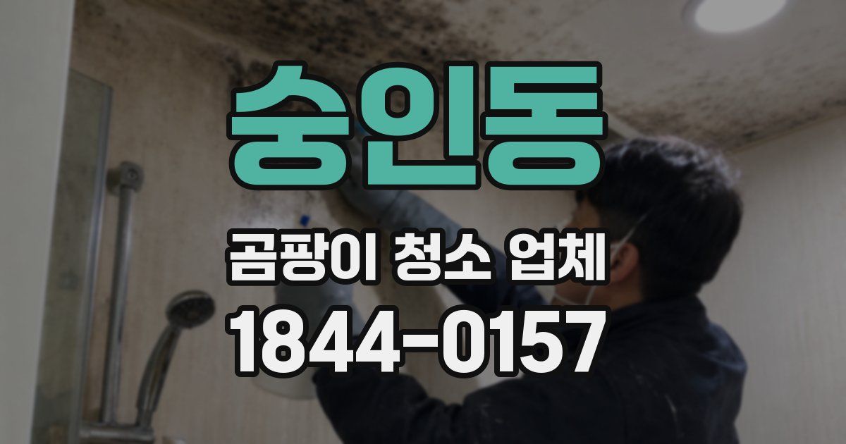 숭인동 곰팡이 청소 업체