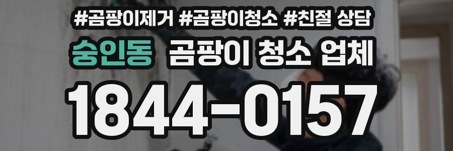 숭인동 곰팡이 청소 업체