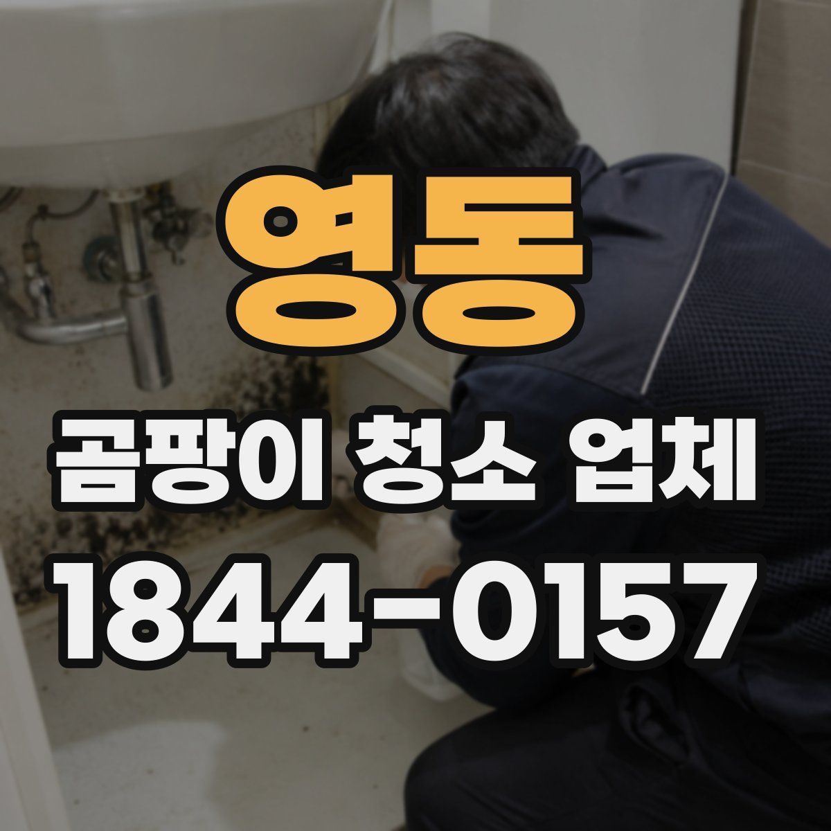 영동 곰팡이 청소 업체