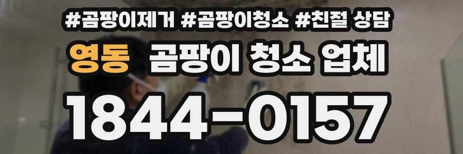 영동 곰팡이 청소 업체