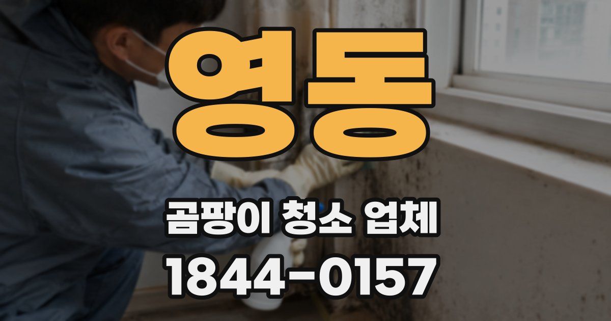 영동 곰팡이 청소 업체